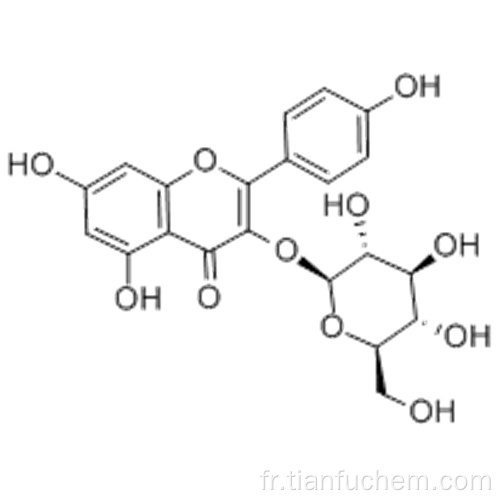 ASTRAGALIN CAS 480-10-4